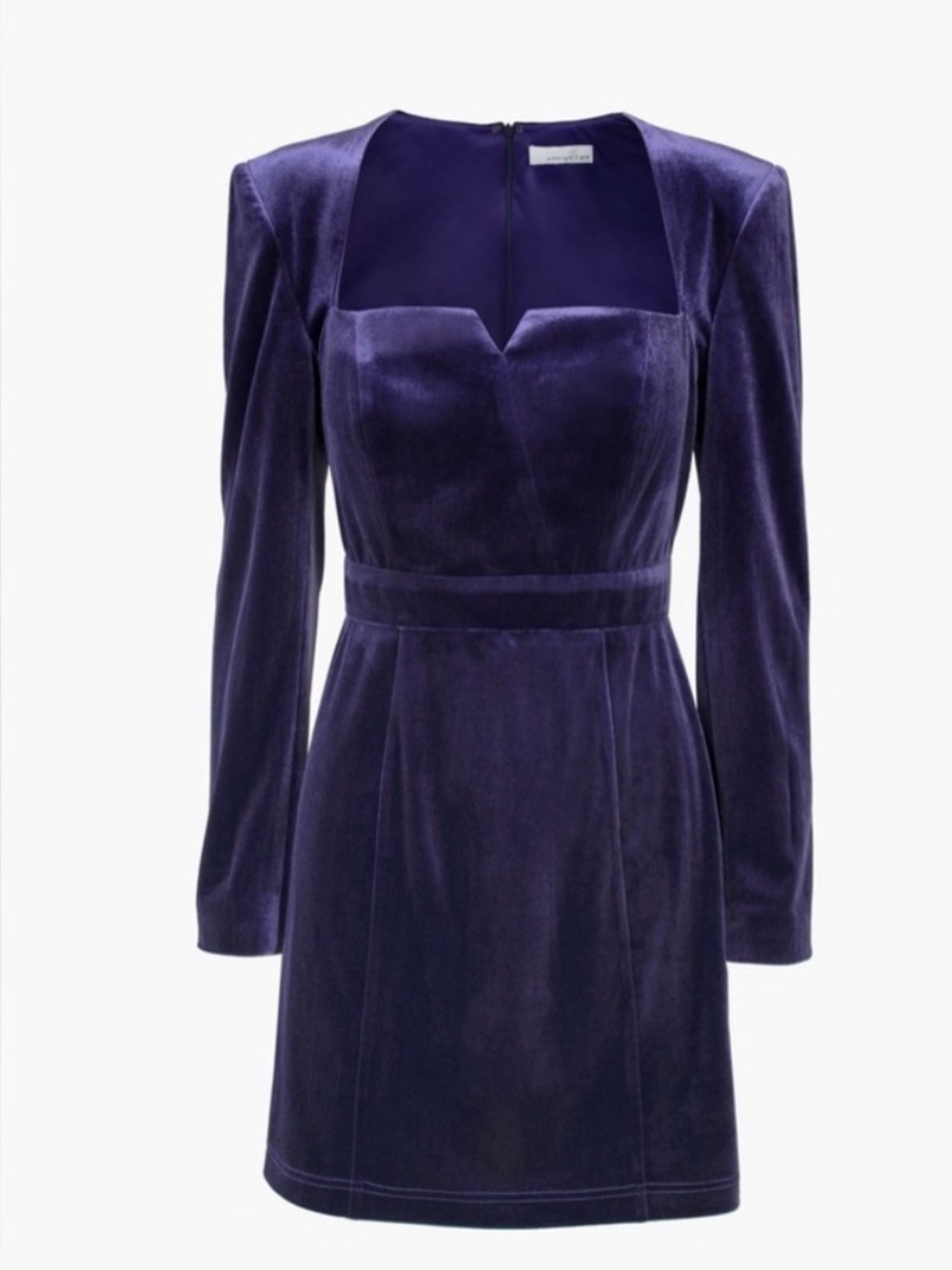 Adeline Rae Eunice Velvet Bodycon Mini Dress